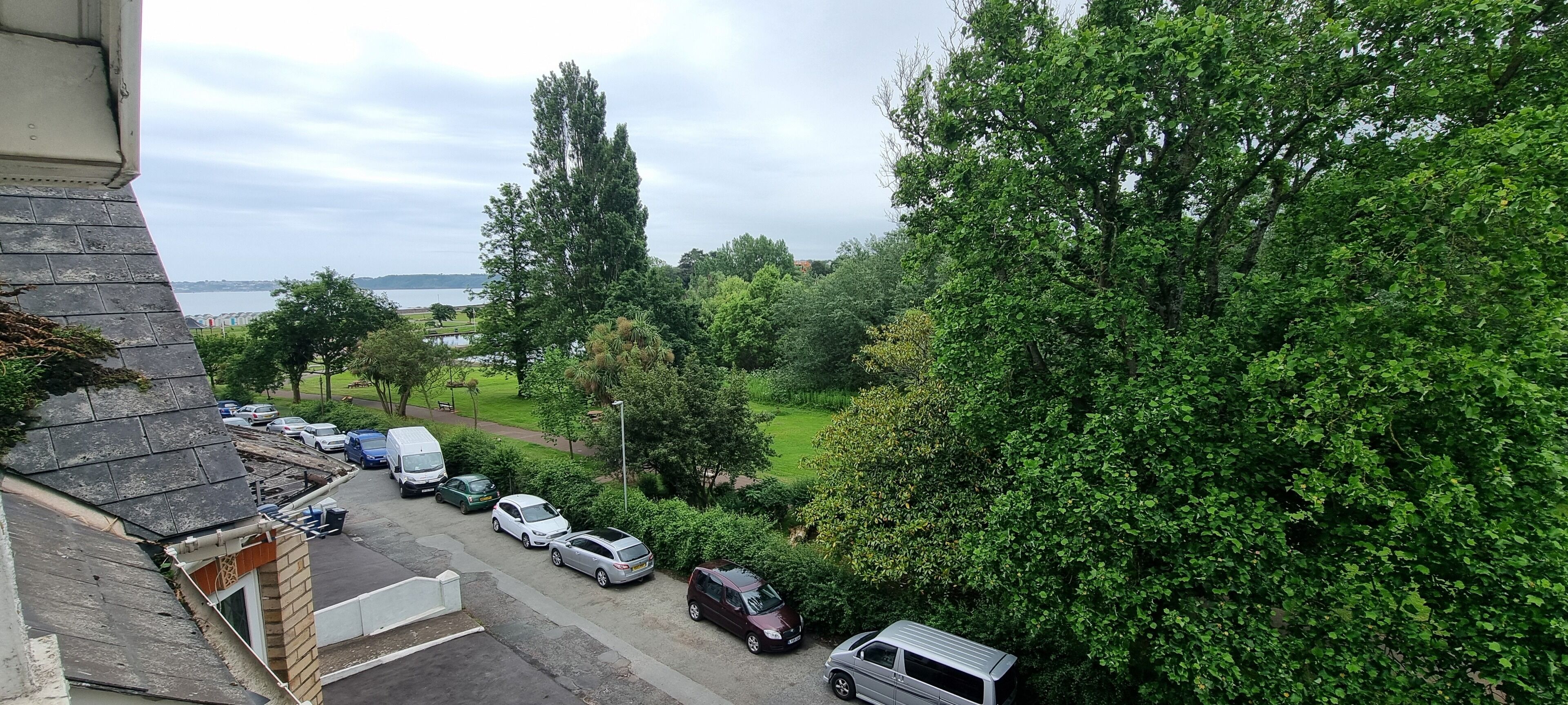 Une rue résidentielle bordée de voitures garées et d’une végétation luxuriante.