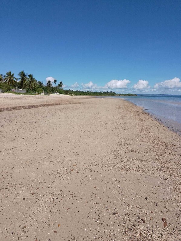 بالقرب من الشاطئ