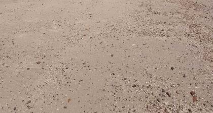 Cozy vacation home surrounded by greenery a few steps from the sea