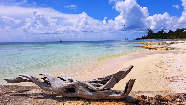 Une plage à l’eau turquoise et limpide, un morceau de bois flotté et un voilier à l’horizon.