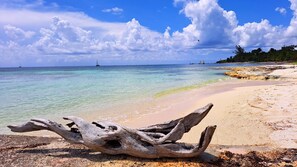 A beach with clear turquoise water, a driftwood piece, and a distant sailboat.