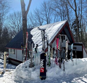 Sne- og skisport