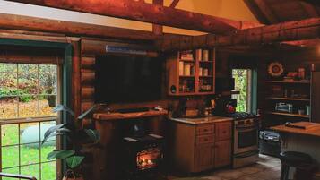 TV, fireplace, offices