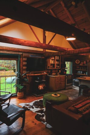 TV, fireplace, offices