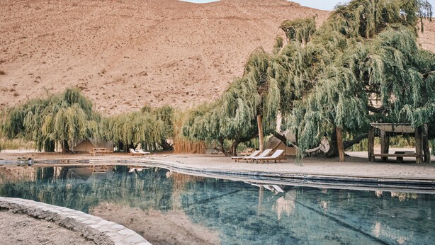 Ein Swimmingpool mit Liegestühlen, einer Holzterrasse und Bäumen in einer Wüstenlandschaft.