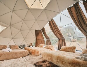 家庭三人房 | 埃及棉床单、高档床上用品、羽绒被、特色装修