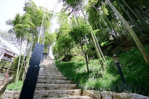 Eine steinerne Treppe, umgeben von Bambus und üppiger Vegetation.