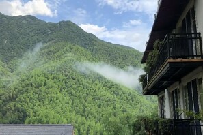 Una montaña con abundante vegetación verde y un edificio con balcones.