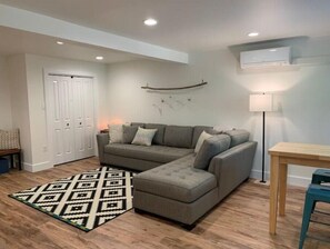 Smart TV, fireplace, DVD player, books