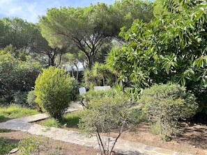 Property grounds - Villa Farfalle CON Strepitosa Scogliera Privata (Capo Coda Cavallo)