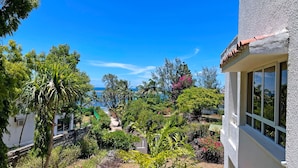 Ein Garten mit verschiedenen Pflanzen und Bäumen, Blick auf das Meer und ein Gebäude mit einem Fenster.