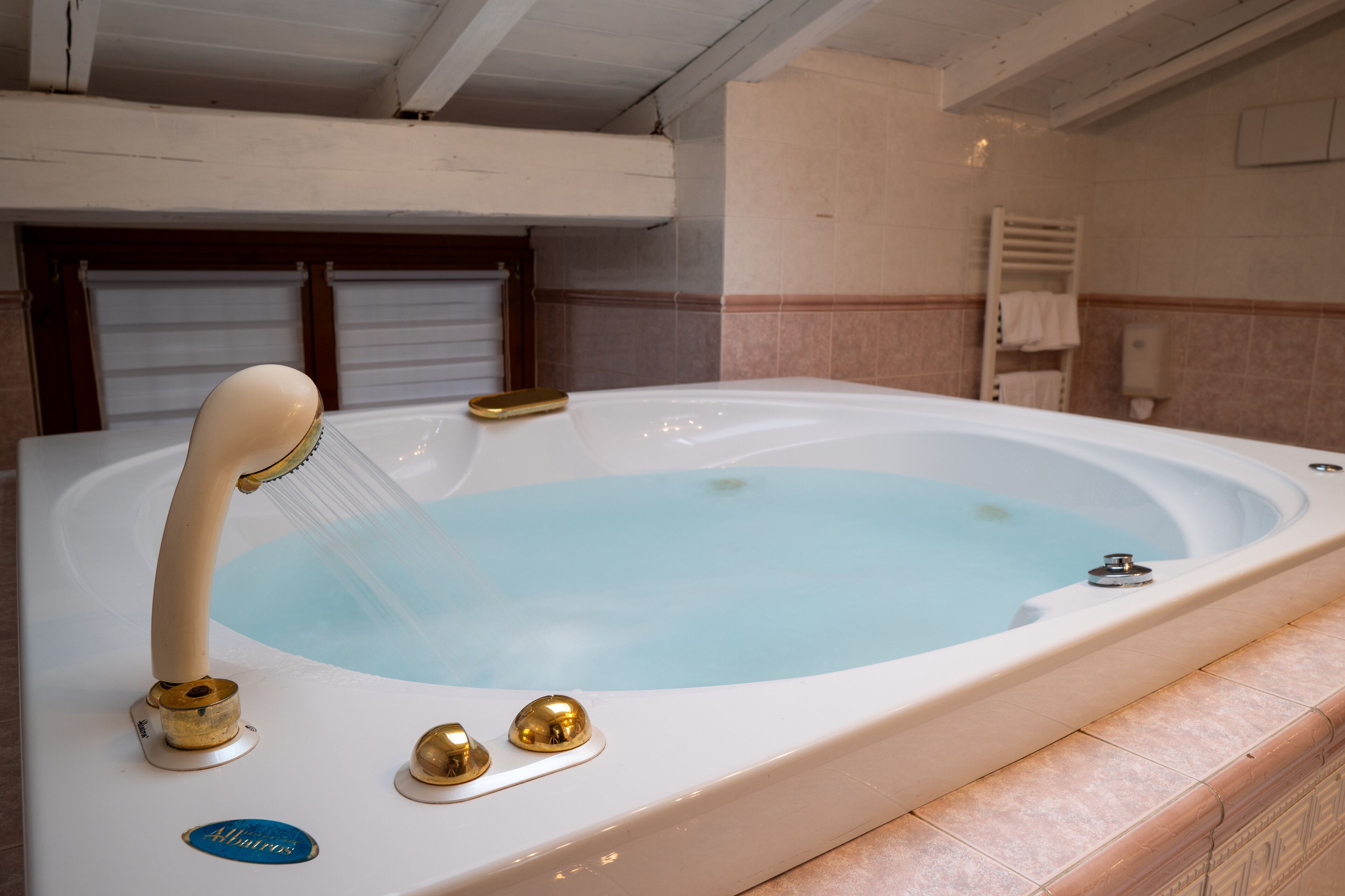 A bathtub with a showerhead, a control knob, and a brand name label.