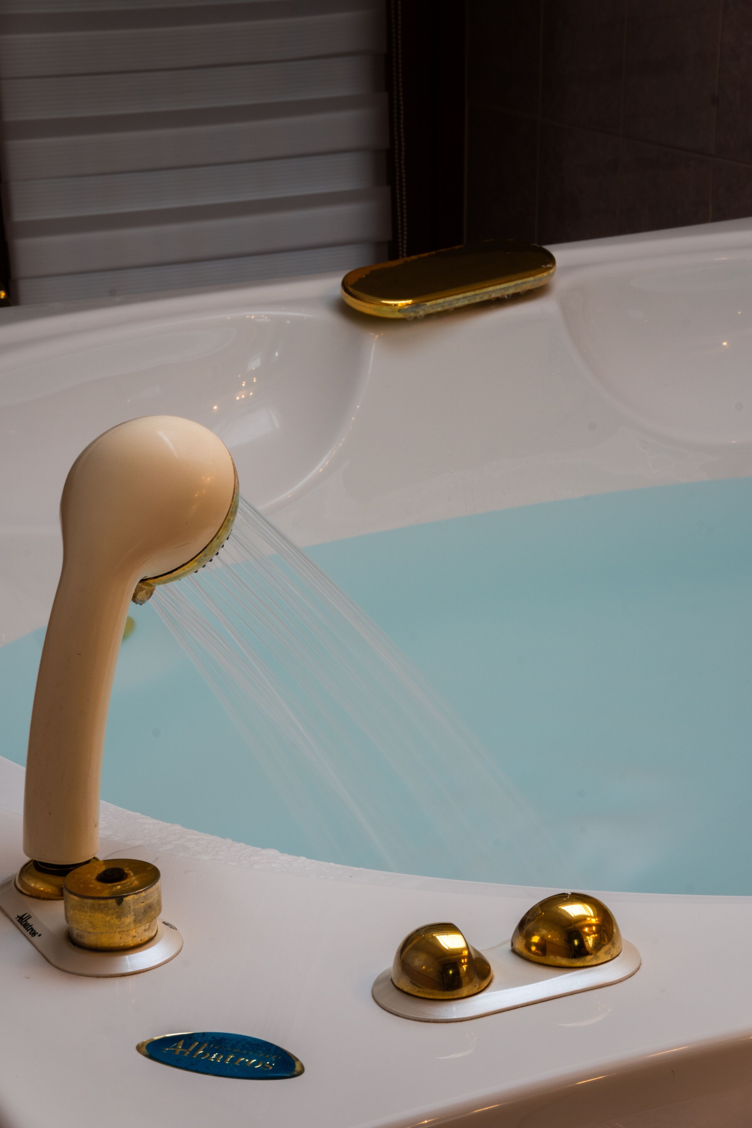 Una vasca da bagno con una doccetta, due manopole dorate e una targhetta.