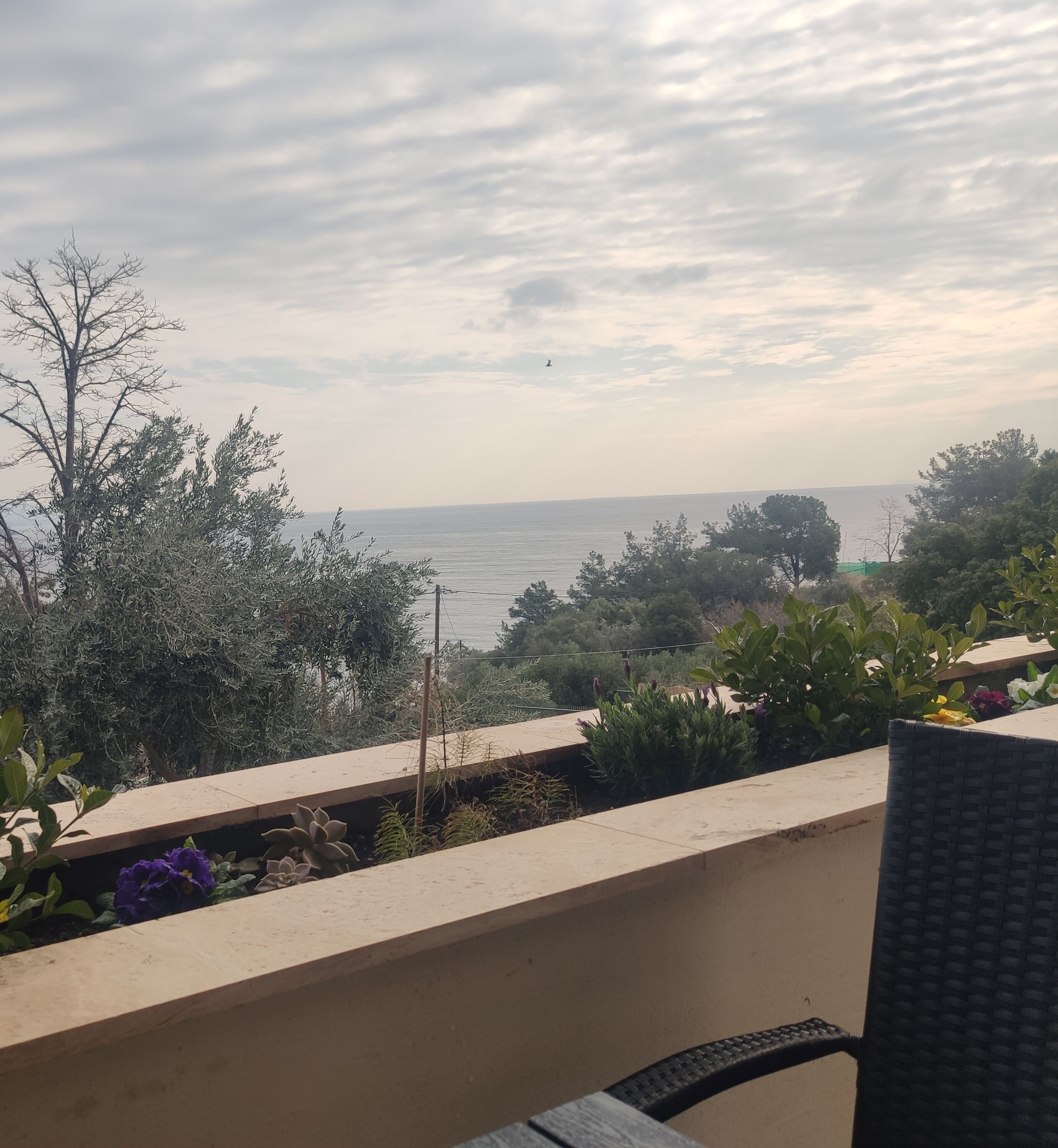 Familien-Doppelzimmer | Terrasse/Patio