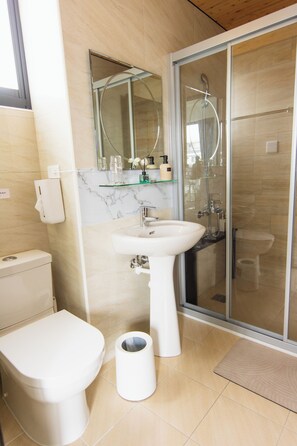 Shower, rainfall showerhead, hair dryer, soap