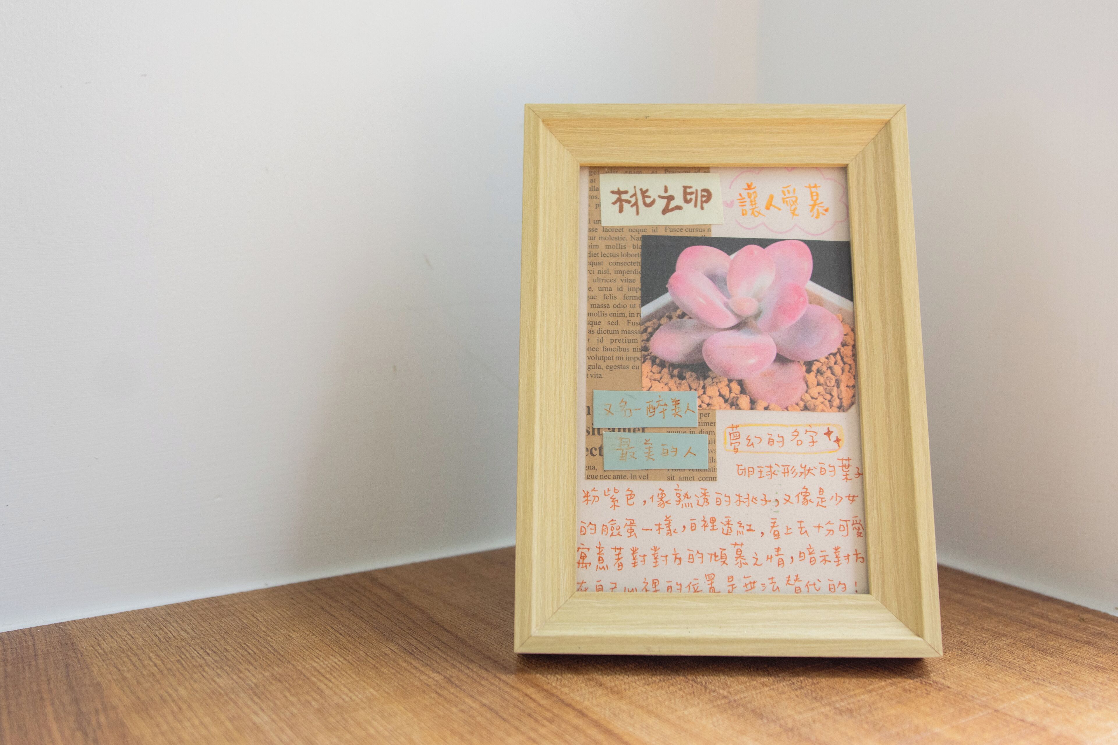 A framed picture with text and a flower.