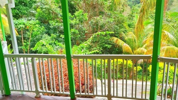 Une terrasse en bois avec une rambarde verte, donnant sur un jardin luxuriant où poussent différentes plantes et arbres.