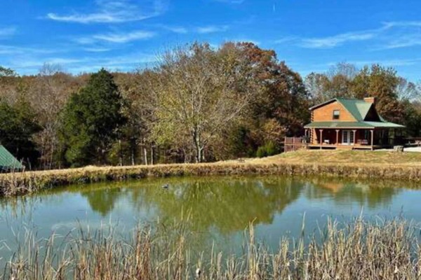 Àrea exterior de l'allotjament