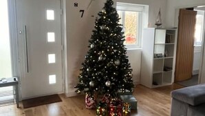 A living room with a Christmas tree, wooden flooring, a bookshelf, and a door. - Blue Bay Villa in Trearddur Anglesey (Trearddur Bay)