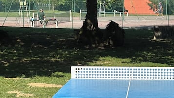 Sportsbane