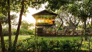 A glass-roofed structure with a wooden deck, surrounded by lush greenery and trees. - Visamo Nalsarovar Resort Ahmedabad (Bavla)