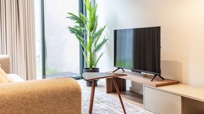 Télévision