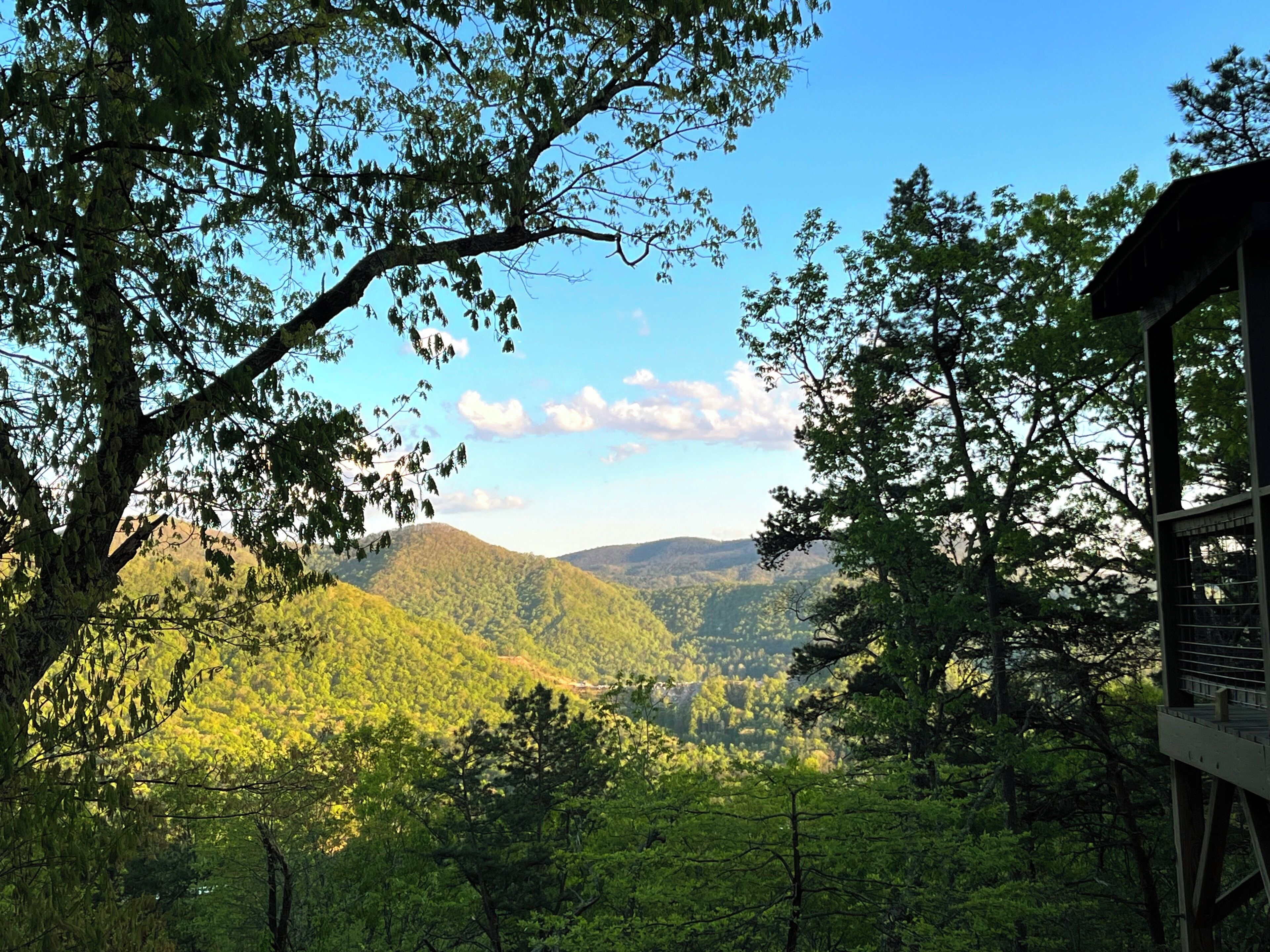 A forested landscape with a wooden cabin structure.