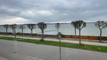 Une promenade en bord de mer, agrémentée d’arbres, d’un trottoir et d’une rue.