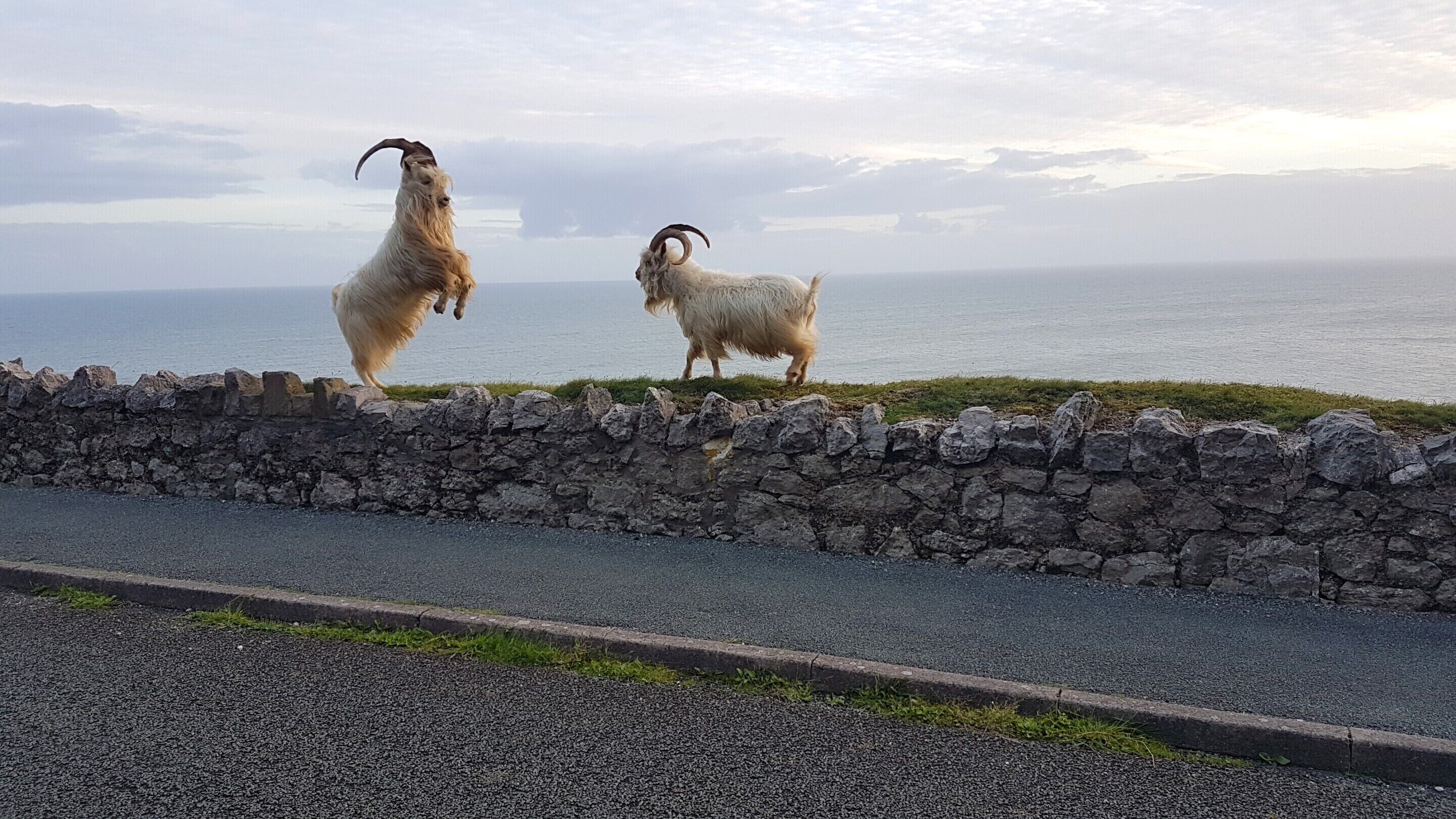 Photo - Min y Don Llandudno