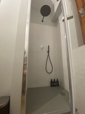 Regadera, secadora de cabello, bidet, toallas