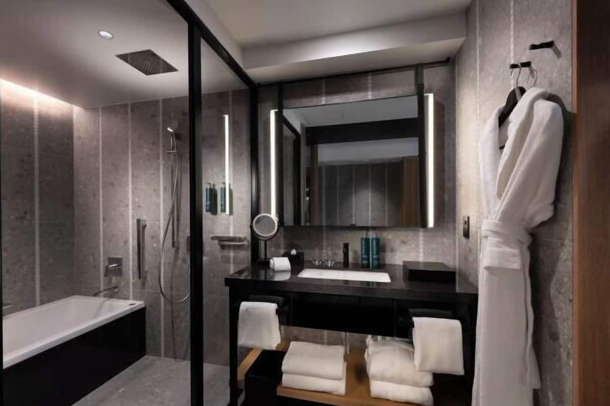 Separate tub and shower, hydromassage showerhead, free toiletries