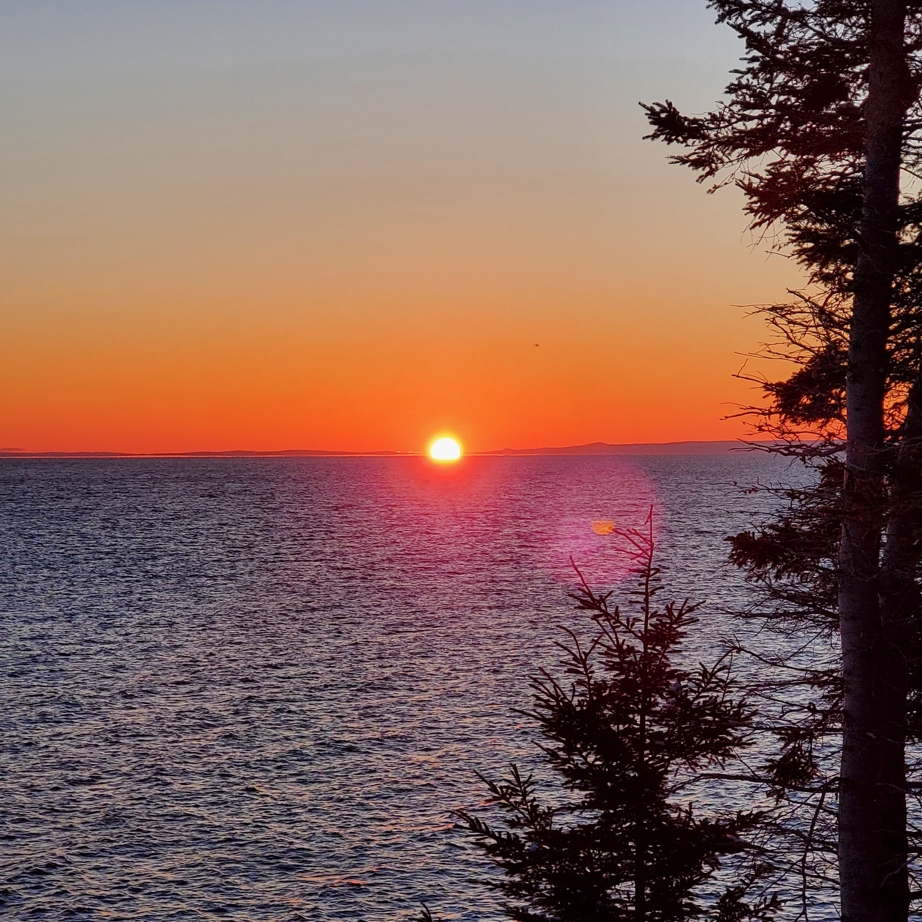 A sunset over a body of water with a tree in the foreground.
