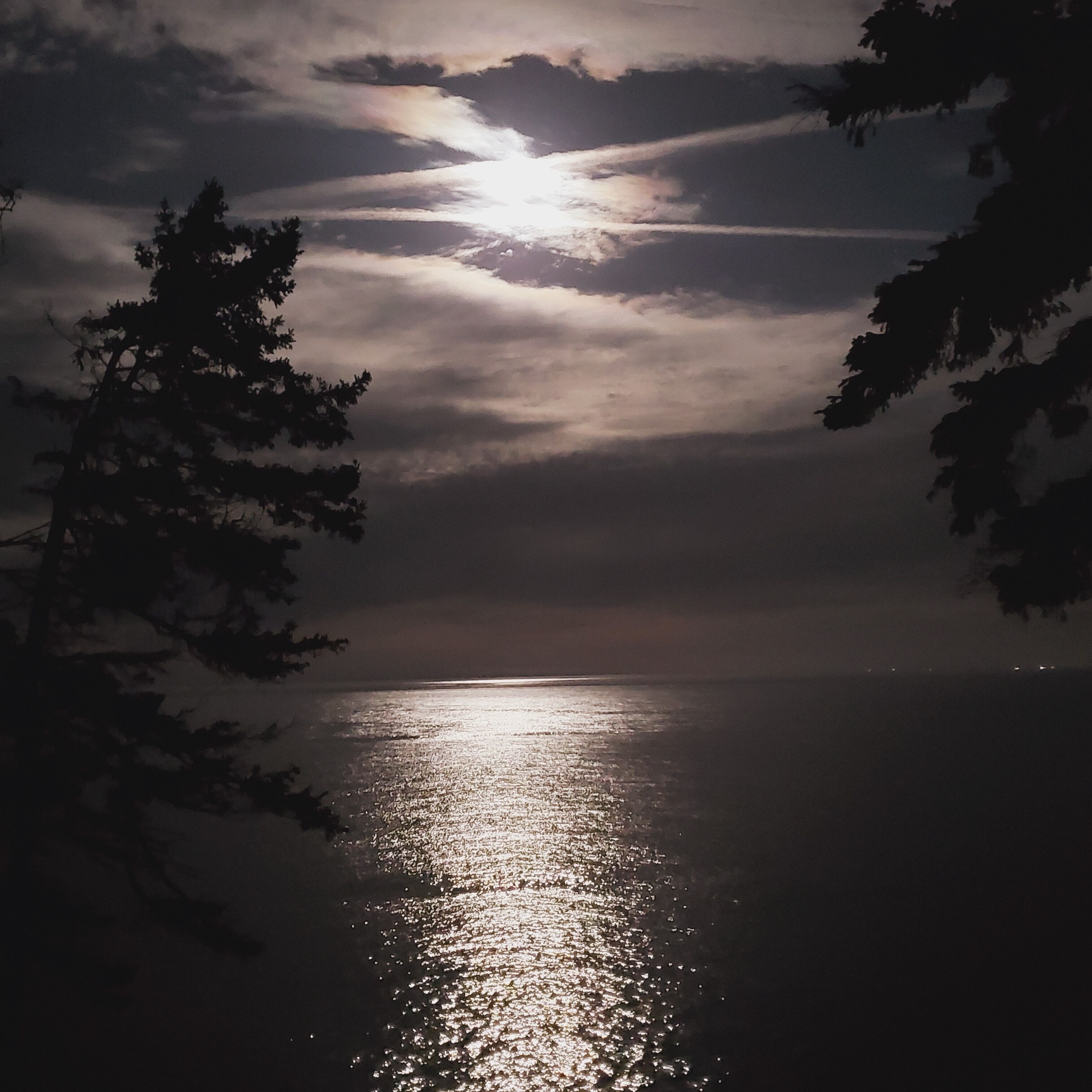 Vista nocturna de una masa de agua con una luna brillante reflejada en la superficie, rodeada de árboles.