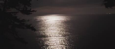 Vista nocturna de una masa de agua con una luna brillante reflejada en la superficie, rodeada de árboles.