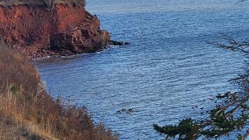 A coastal landscape with a rocky cliff and calm sea.