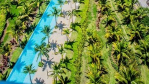 An aerial view of a resort with a long swimming pool, palm trees, and a beach.