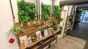 A reception area with a wooden reception desk, a wall-mounted plant display, and a fire alarm. - HOTEL LiVEMAX Nihonbashi-Ningyocho (Tokyo)
