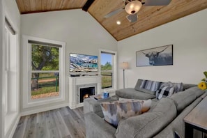 Smart TV, fireplace, books, stereo