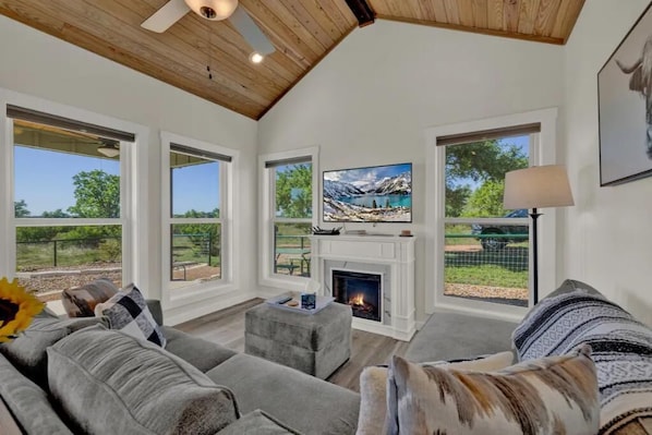 Smart TV, fireplace, books, stereo