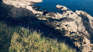A coastal landscape with rocky cliffs and calm sea. - Harlosh Log Cabins, Cabin No 2 (Dunvegan)