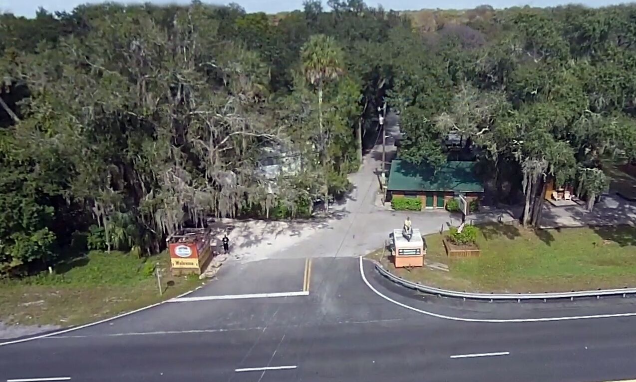 A road leading to a building surrounded by dense trees.