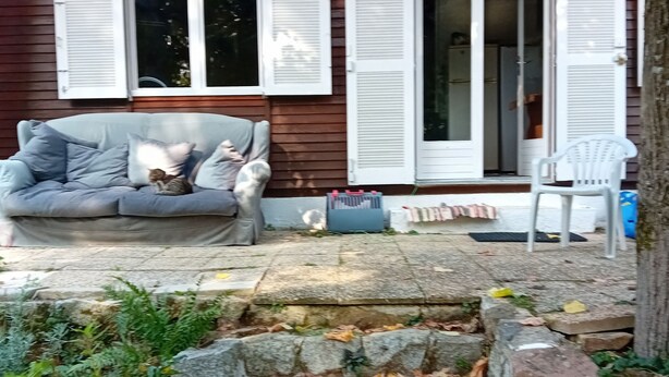 Una casa de madera con una escalera de piedra que lleva a un porche.