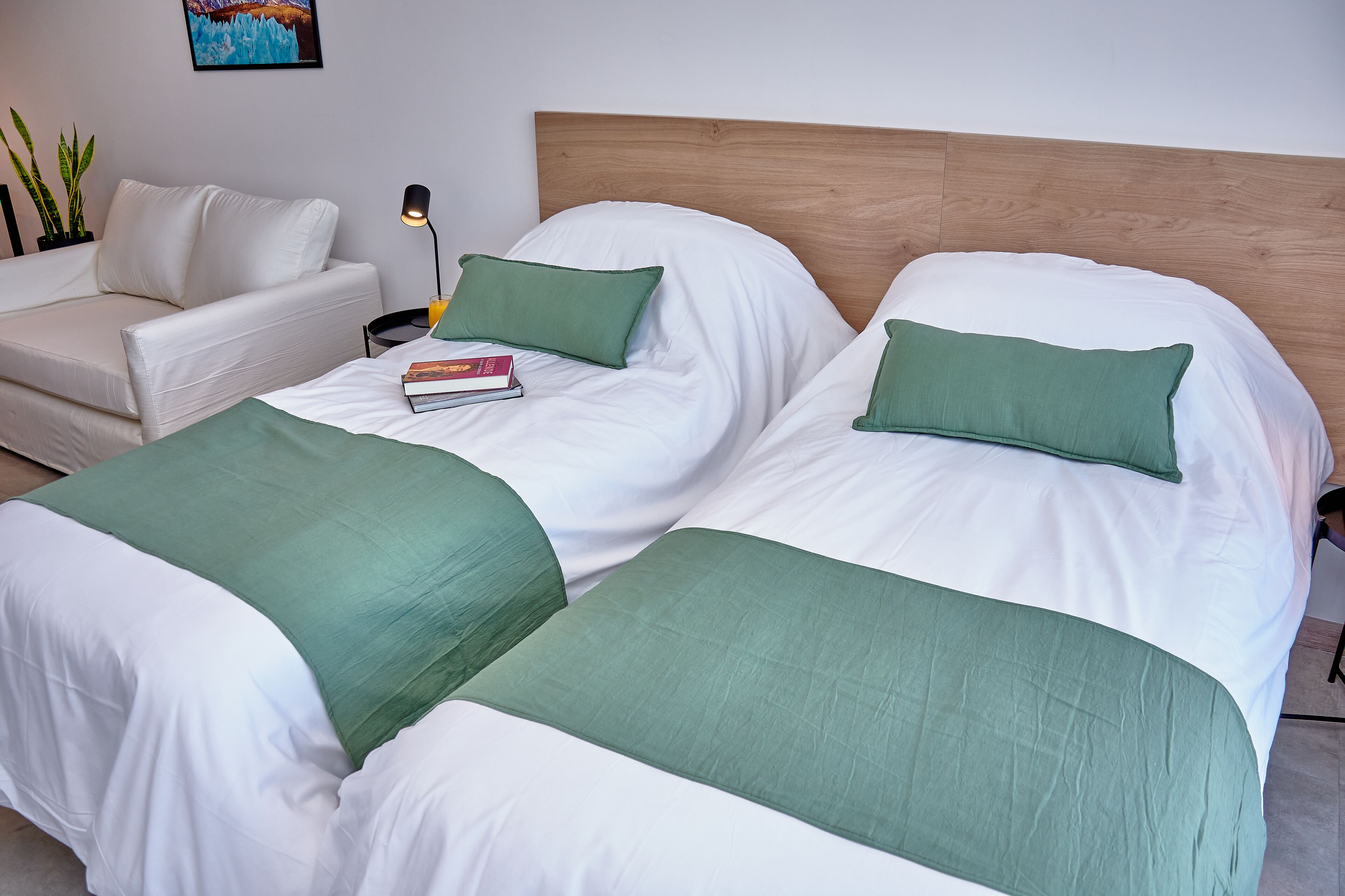 Een slaapkamer met twee eenpersoonsbedden, een houten hoofdbord, witte beddengoed, groene sierkussens, een nachtkastje met een lamp en een kleine plant.