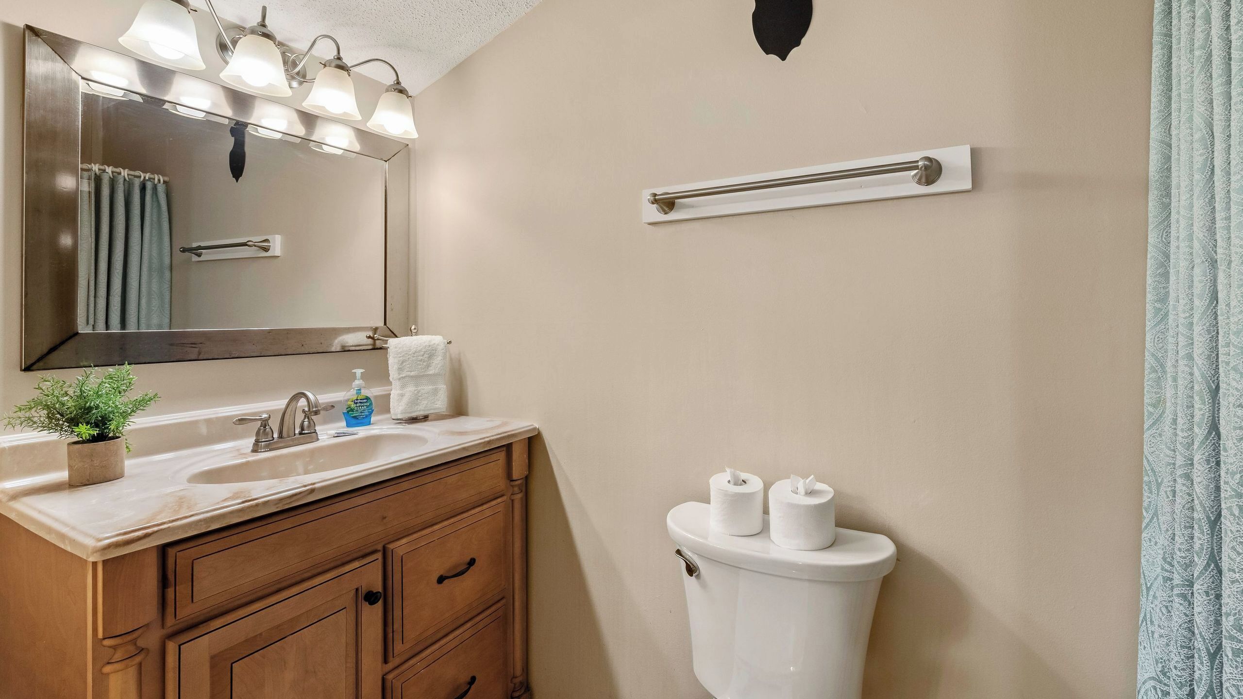 A bathroom with a sink, mirror, towel rack, toilet, and a small plant.