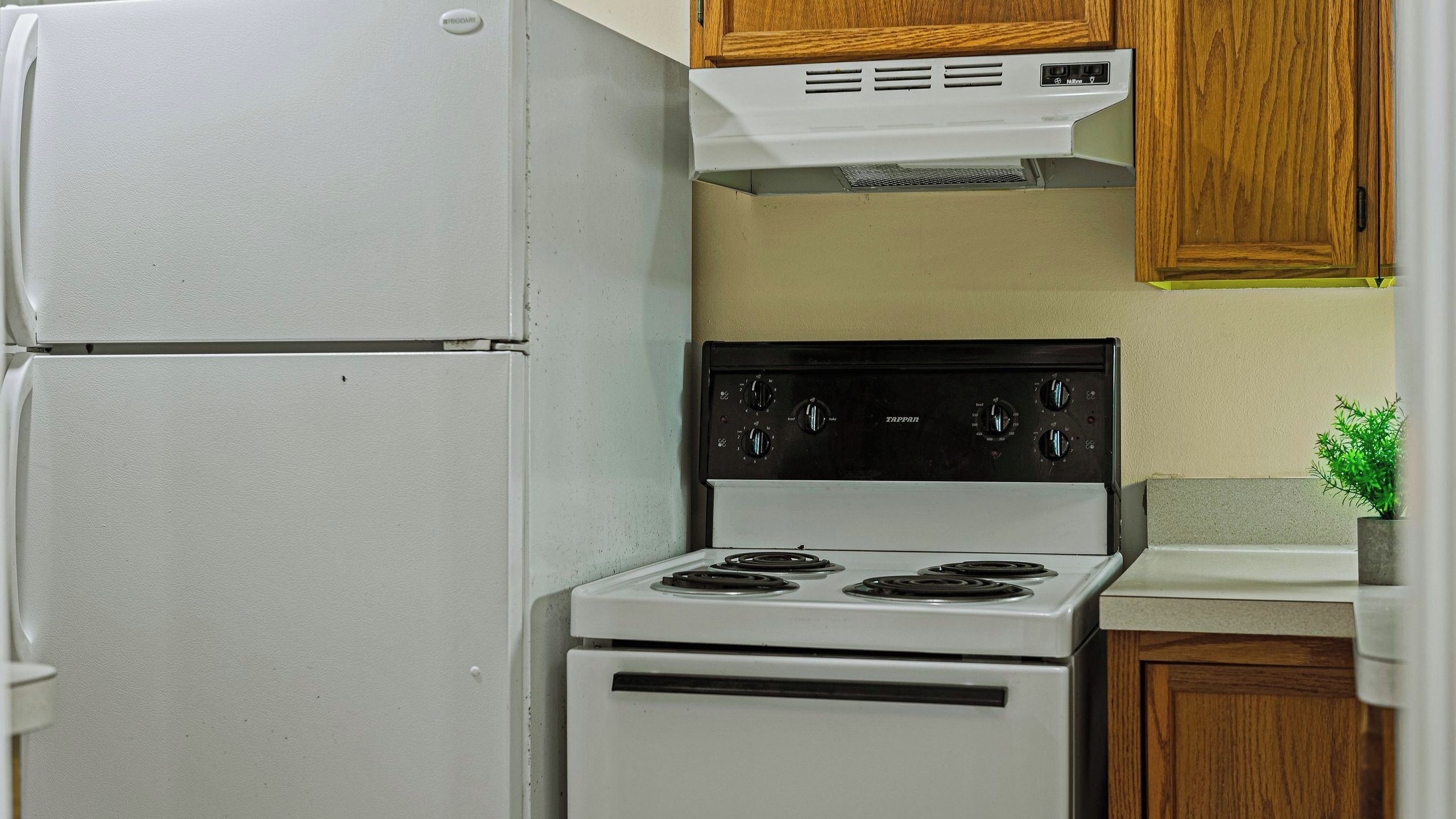Una cocina con un refrigerador blanco, una estufa y armarios de madera.