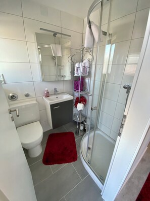 Dusche, Haartrockner, Handtücher, Seife