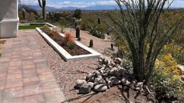 A modern building with a paved entrance and a landscaped garden featuring cacti and rocks.