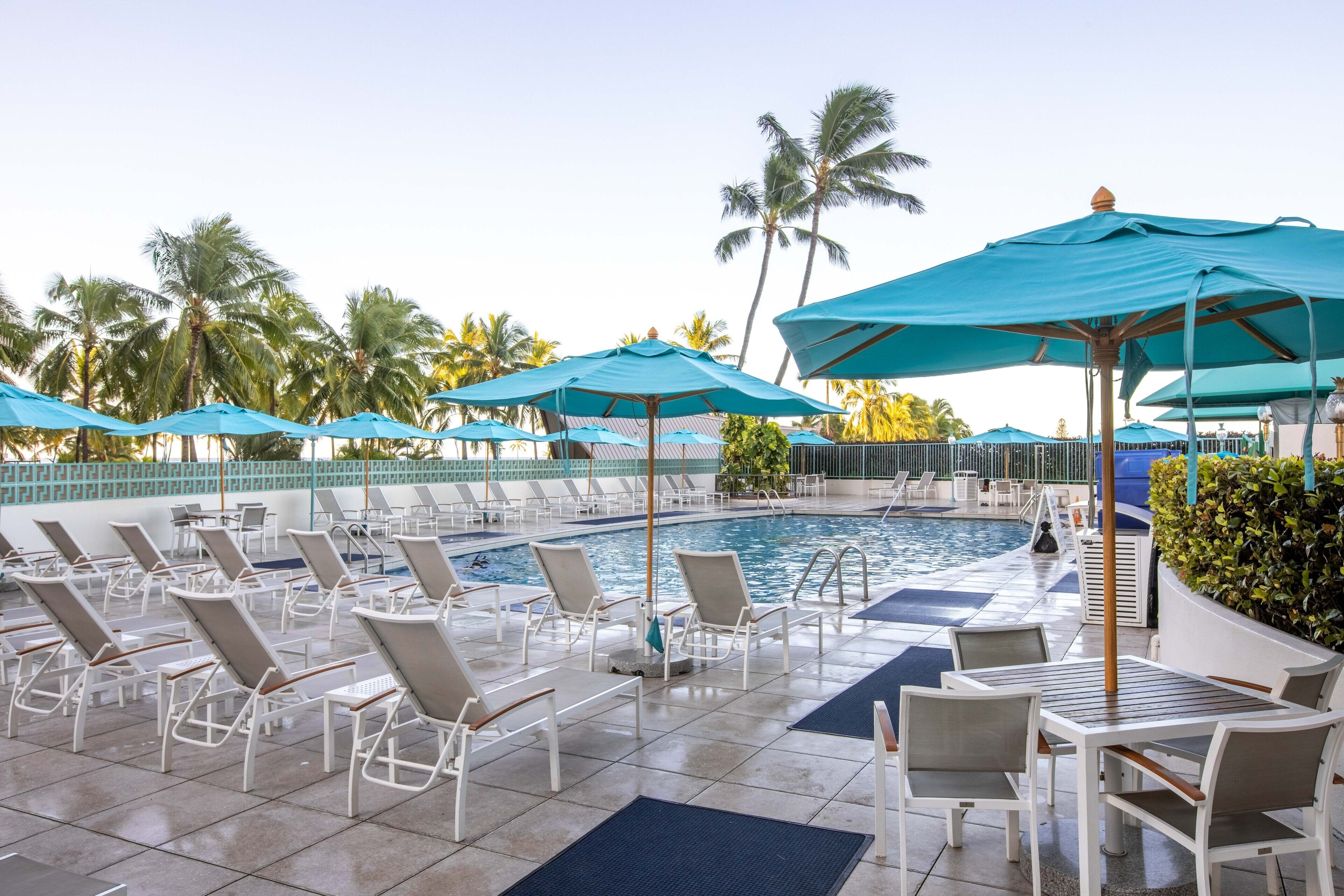 Un espace aménagé au bord de la piscine, avec des chaises longues et des parasols, entouré de palmiers.