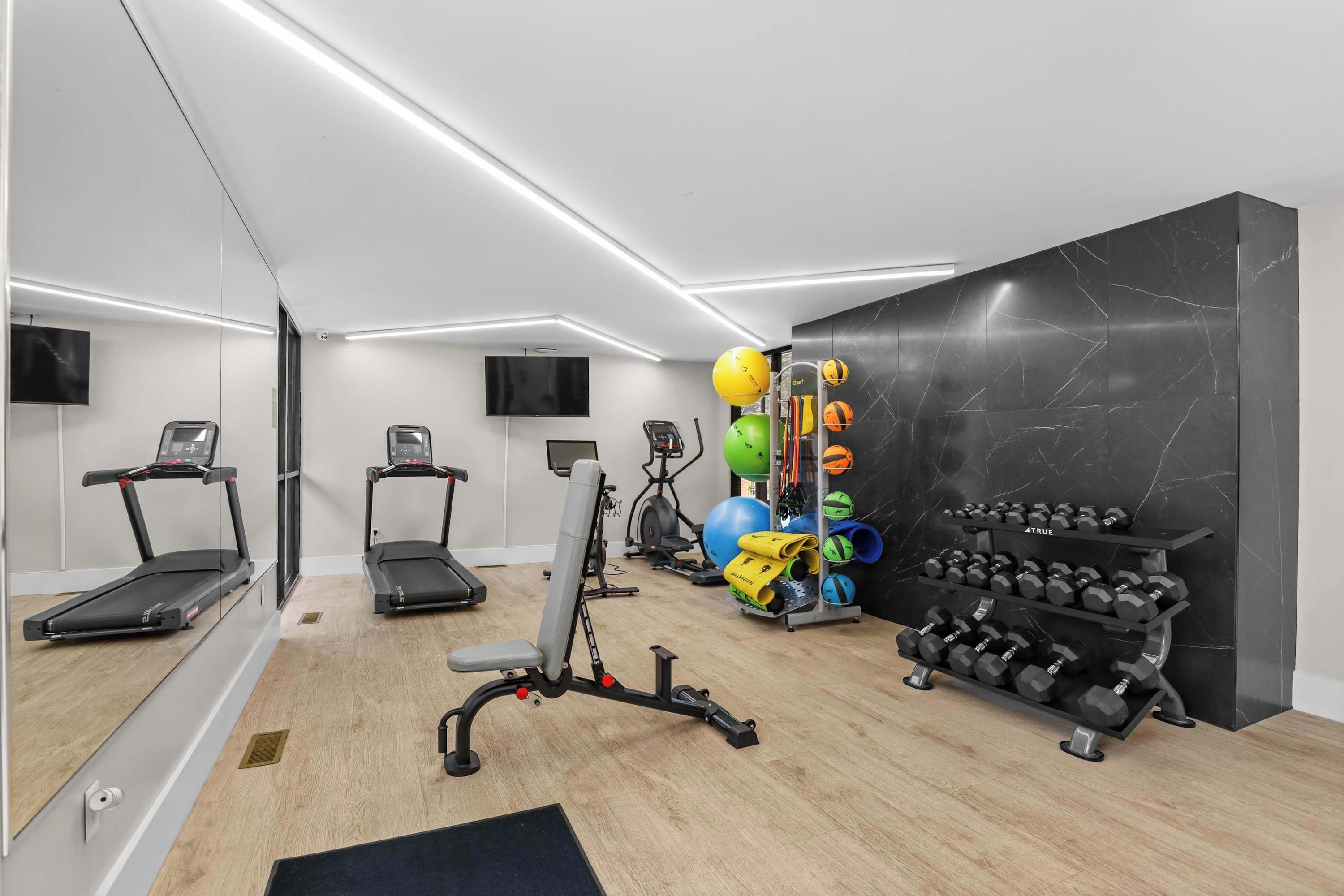 A modern home gym with treadmills, a stationary bike, a rowing machine, and a variety of exercise balls and dumbbells.