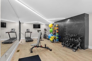 A modern home gym with treadmills, a stationary bike, a rowing machine, and a variety of exercise balls and dumbbells. - Stunning Stay in Rochester Hills (Rochester Hills)
